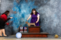 Dachshund Wirehaired #10 Sun BOWWBCH Judge Denny Mounce