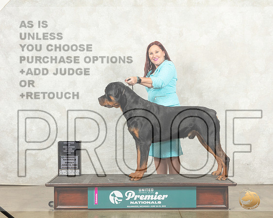Rottweiler #1296 Sun COC Judge Diana Brumbaugh__MJ_9082_Premier_2022_HR3