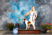 Brittany #26 Sat BOSM Judge Robert Stein