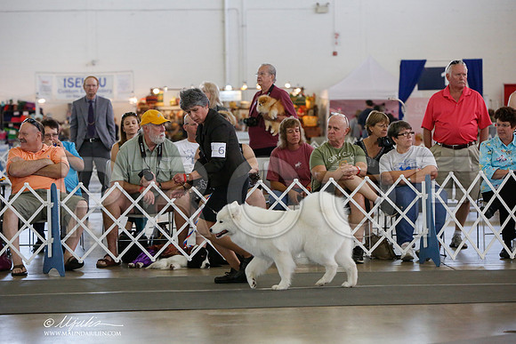 _JJ_1729-DallasJul2014-HR3