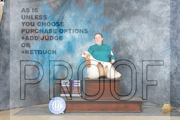 Cocker Spaniel Parti #5 Sun WDCH Judge Denny Mounce__JP_5834_Fayetteville2024_HR3