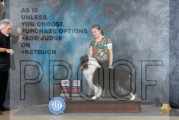 Collie Rough #12 Sun WBBOWBOWMCH Judge Elizabeth Muthard__JP_5869_Fayetteville2024_HR3