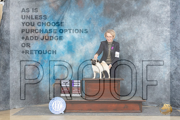 Pug #6 Sun WBBOBCH Judge Linda Hurlebaus +NTR__JP_5822_Fayetteville2024_HR3