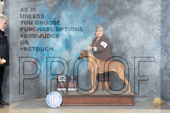 Rhodesian Ridgeback #12 Sun WBBOWMCH Judge Denny Mounce__JP_5818_Fayetteville2024_HR3