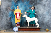Saluki #J26 Sun RBJr Judge Chris Ann Moore