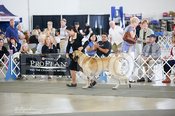 _JJ_6691-DallasJul2014-HR3
