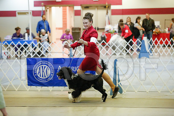 _JJ_7954-AmarilloSept2014-HR3