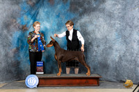 Doberman Pinscher #44 Sun G1 Judge Joyce Siddall