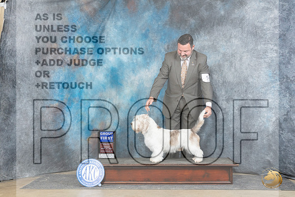 PBGV #5 Sun G1 Judge Elizabeth Muthard__JP_5954_Fayetteville2024_HR3