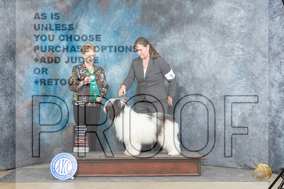 Polish Lowland Sheepdog #5 Sun OHG3 Judge Joyce Siddall__JP_6014_Fayetteville2024_HR3