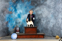 Pug #6 Sun G4 Judge Denny Mounce