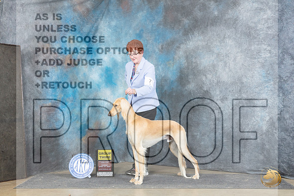 Saluki #7 Sun G3 Judge Elizabeth Muthard__JP_5970_Fayetteville2024_HR3