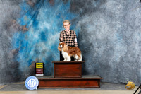 Cavalier King Charles Spaniel #5 Sun G3 Judge Denny Mounce