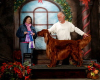 Irish Setter Sat S2 G1 Judge Dot Jacobs