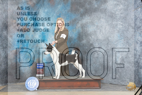 Canaan Dog #5 Sunn G1 Judge Linda Hurlebaus__JP_6039_Fayetteville2024_HR3