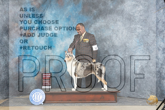 Collie Smooth #14 Sun G2 Judge Linda Hurlebaus__JP_6046_Fayetteville2024_HR3