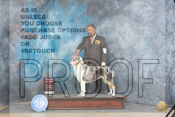 Collie Smooth #14 Sun G2 Judge Linda Hurlebaus__JP_6053_Fayetteville2024_HR3