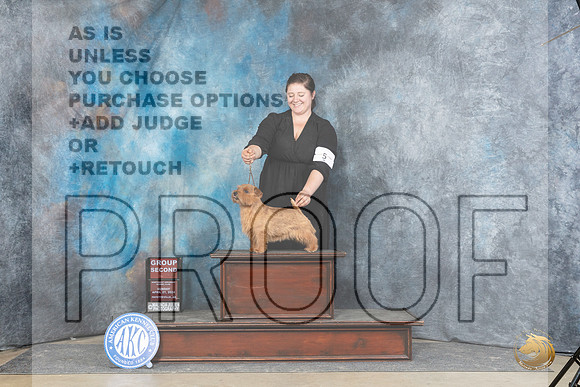 Norfolk Terrier #5 Sun G2 Judge Carolyn Herbel__JP_6077_Fayetteville2024_HR3