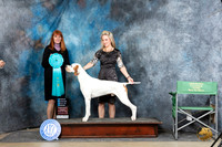 Pointer #5 Sun OHBIS Judge Linda Hurlebaus