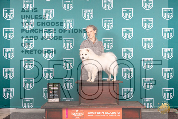 American Eskimo #266 Sat G3 Judge Kathy Russell__JP_2012_UKCEastern_2024_HR3
