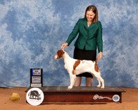 Brittany #14 Sun BOW Judge Daniel Dowling