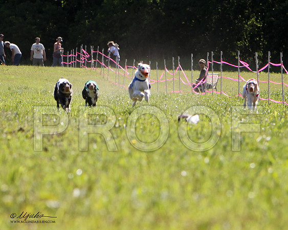 2SR-IMG_5981HR