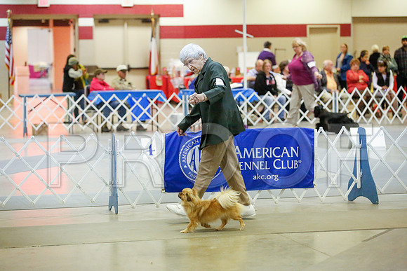 _JJ_8248-AmarilloSept2014-HR3