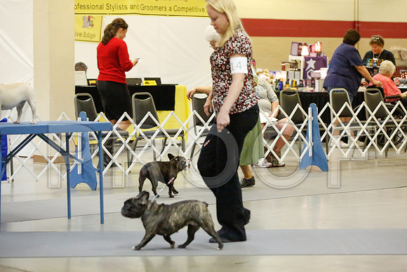 _JJ_8899-AmarilloSept2014-HR3
