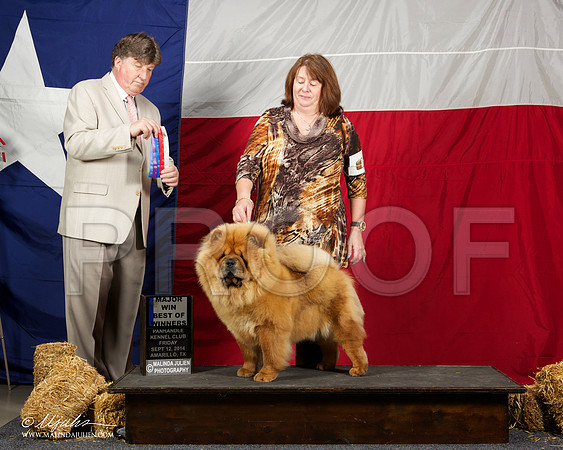 _ST_1485-AmarilloSep2014-HR3