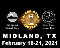 Midland Feb 18-21 2021