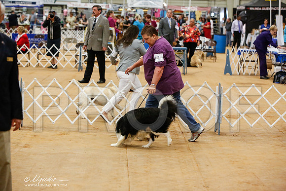 _JN_4291-TxArJun2014-HR3