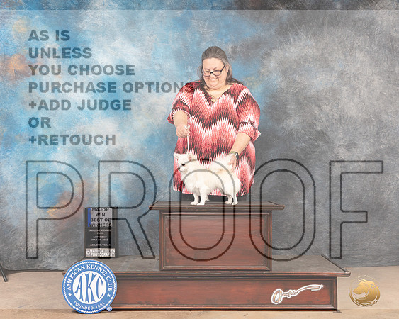 Chihuahua Long Caot #5 Sat BOW Judge Peggy McIllwaine r-MMJ_4491-Abilene2022-HR3