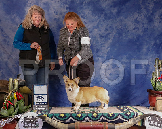 CorgPW-2887-GRJan14-HR