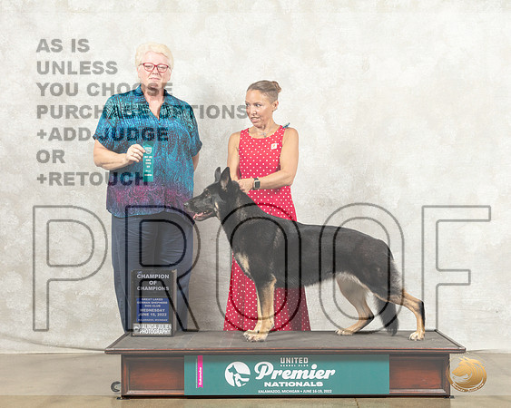 German Shepherd Dog #214 Wed BOW Judge Karen Cattin_MMJ_6644_Premier_2022_HR3