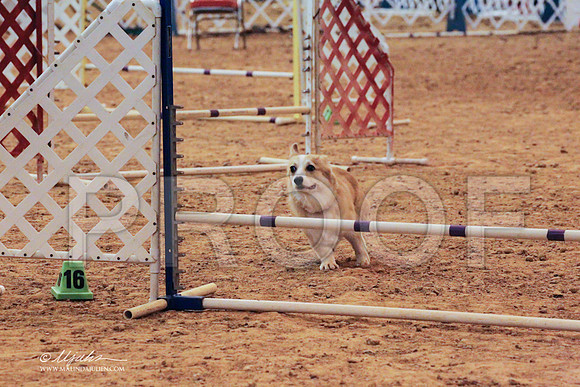 CorgPW-7884 PROOF