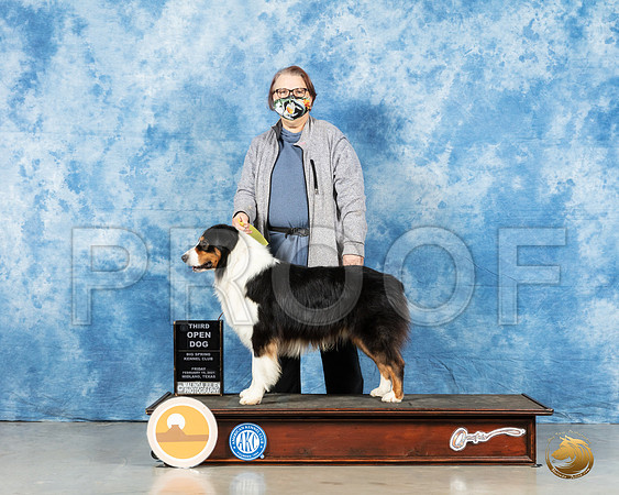 Australian Shepherd #45 Fri OD3 Judge Charles Olvis_MMJ_0185_HR3