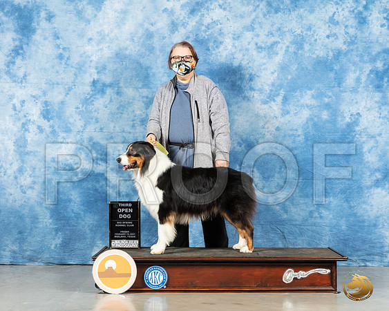 Australian Shepherd #45 Fri OD3 Judge Charles Olvis_MMJ_0187_HR3
