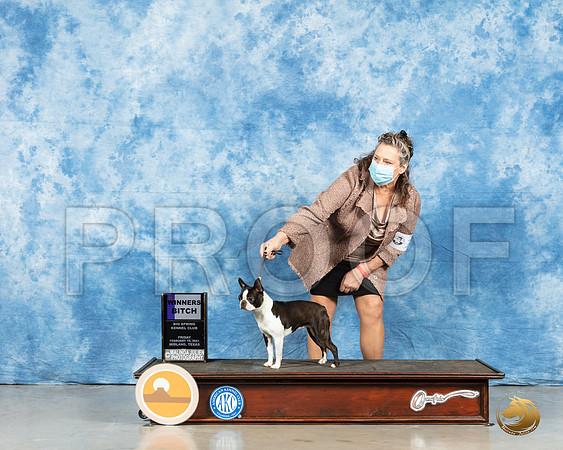 Boston Terrier #10 Fri WB Judge Carolyn Herble_MMJ_0246_HR3