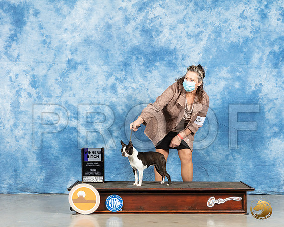 Boston Terrier #10 Fri WB Judge Carolyn Herble_MMJ_0245_HR3