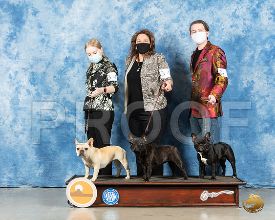 French Bulldog #44 #46 #10 Fri_MMJ_0238_HR3