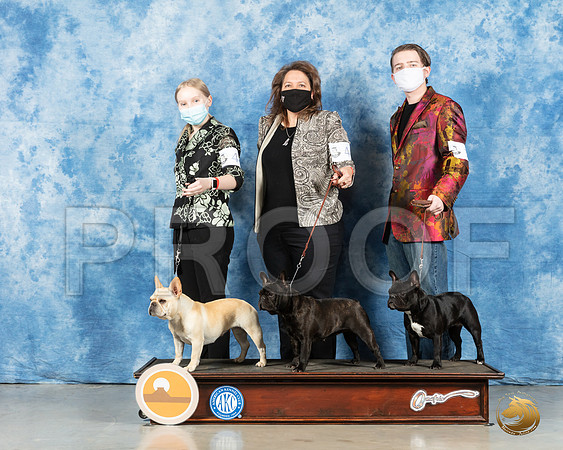 French Bulldog #44 #46 #10 Fri_MMJ_0242_HR3