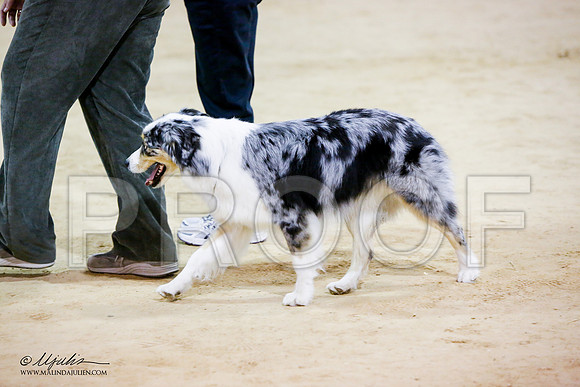 _JN_7680-ASCACollegeStationNov2014-HR3