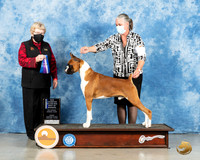 Boxer #15 Fri BOW Judge Judith Brown