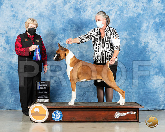 Boxer #15 Fri BOW Judge Judith Brown_MMJ_0289_Mdlnd21_HR3
