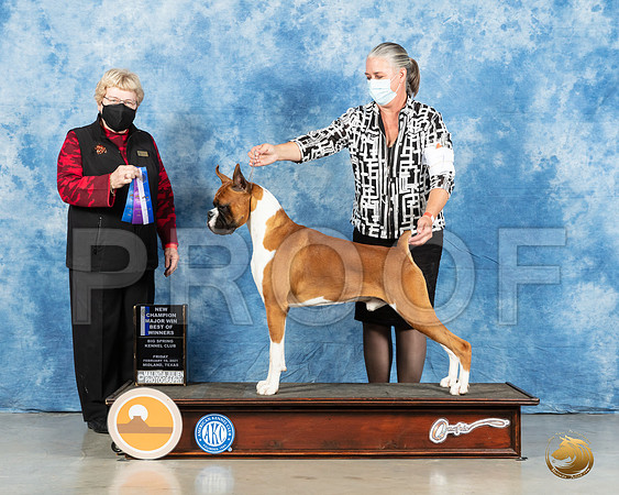 Boxer #15 Fri BOW Judge Judith Brown_MMJ_0292_Mdlnd21_HR3