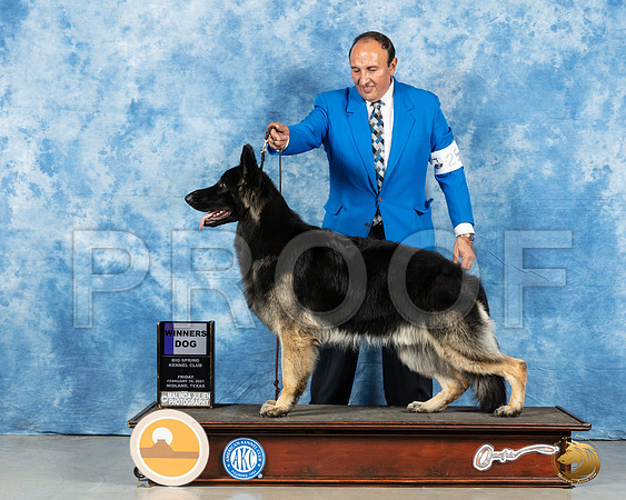 German Shepherd Dog #25 Fri WD Judge Nancy Simmons_MMJ_0391_Mdlnd21_HR3