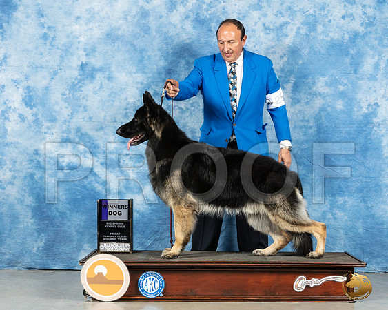 German Shepherd Dog #25 Fri WD Judge Nancy Simmons_MMJ_0392_Mdlnd21_HR3