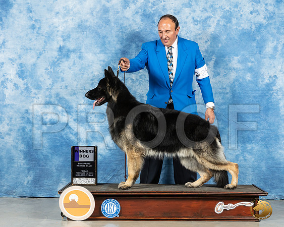 German Shepherd Dog #25 Fri WD Judge Nancy Simmons_MMJ_0394_Mdlnd21_HR3