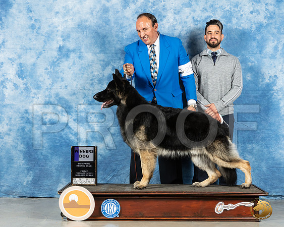German Shepherd Dog #25 Fri WD Judge Nancy Simmons_MMJ_0395_Mdlnd21_HR3