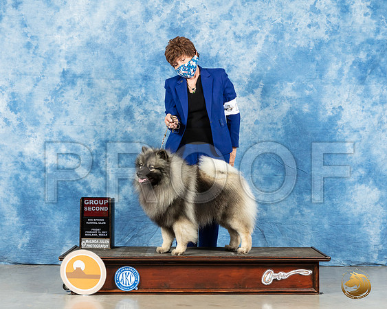 Keeshound #27 Fri G2 Judge Peggy Lloyd_MMJ_0579_Mdlnd21_HR3